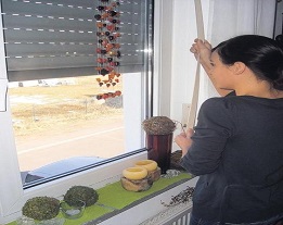 Manisa Panjur Makara Tamiri
